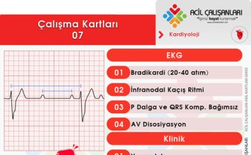 Çalışma Kartları 07