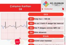 Çalışma Kartları 08