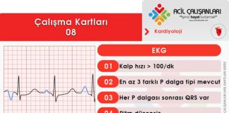 Çalışma Kartları 08
