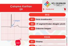 Çalışma Kartları 09