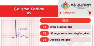 Çalışma Kartları 09