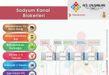Sodyum Kanal Bloker Toksikolojisi
