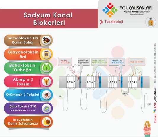 Sodyum Kanal Bloker Toksikolojisi