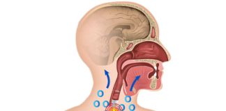 Trakeobronşiyal Yaralanmalar