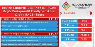 Revize Kardiyak Risk İndeksi (RCRI)