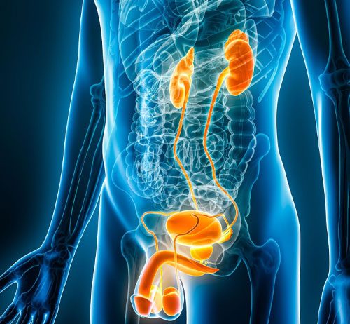 Üretral Yaralanmalarına Acil Yaklaşım