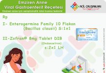 Emziren Anne Reçeteleri