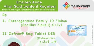 Emziren Anne Reçeteleri