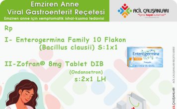 Emziren Anne Reçeteleri