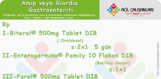 Amipli Dizanteri (Amibiyazis) Gastroenteriti Reçetesi