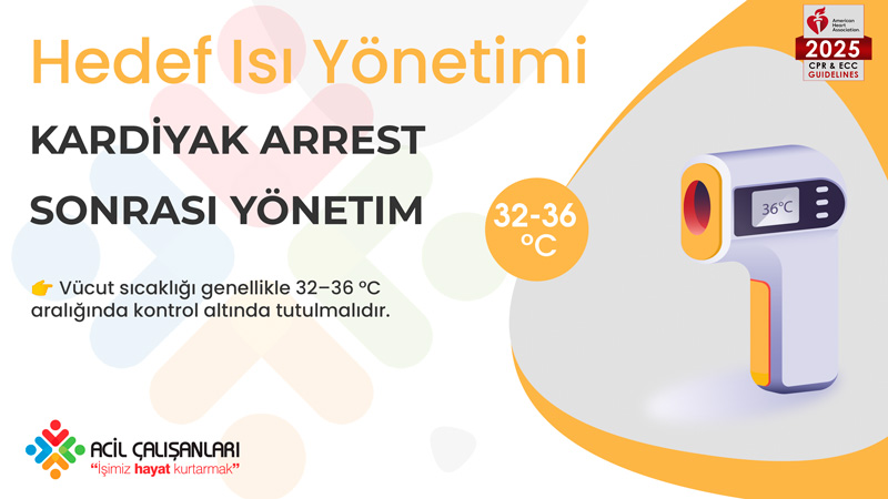 Isı Yönetimi