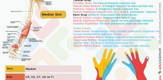 Median Sinir Yaralanmaları