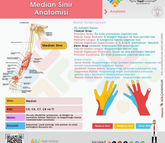Median Sinir Yaralanmaları