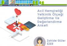 Acil Hemşireliği Yetkinlik Ölçeği Geliştirme Ve Değerlendirme Anketi