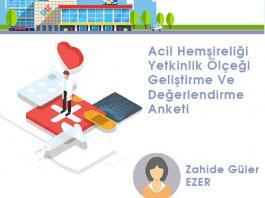 Acil Hemşireliği Yetkinlik Ölçeği Geliştirme Ve Değerlendirme Anketi