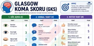 Glaskow Koma Skoru (GKS)