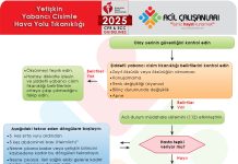 Erişkin Hastalarda Yabancı Cisim Tıkanıklığı AHA 2025