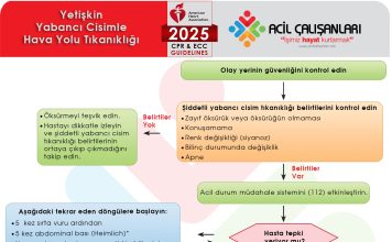 Erişkin Hastalarda Yabancı Cisim Tıkanıklığı AHA 2025