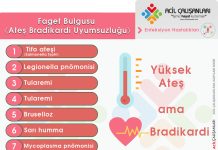 Faget Bulgusu (Ateş Bradikardi Uyumsuzluğu)