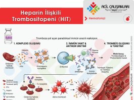 Heparin İlişkili Trombositopeni (HIT)