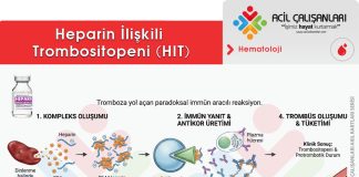 Heparin İlişkili Trombositopeni (HIT)