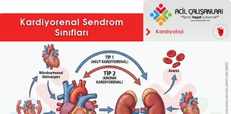 Kardiyorenal Sendrom