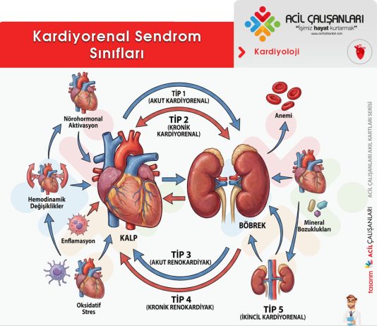 Kardiyorenal Sendrom
