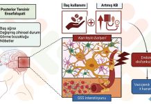 Posterior Reversibl Ensefelopati Sendromu (PRES)