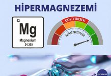 Hipermagnezemi