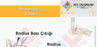 Monteggia Kırığı