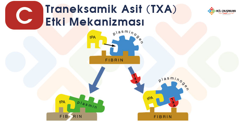 Traneksamik Asit TXA Etki Mekanizması Banner