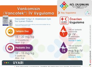 Vankomisin Uygulama