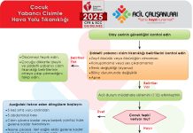 Çocuklarda Hastalarda Yabancı Cisim Tıkanıklığı AHA 2025