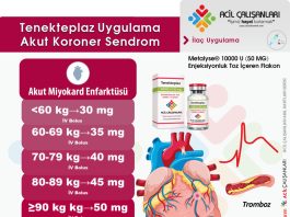 Tenekteplaz Uygulama