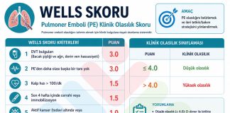 Wells Skoru