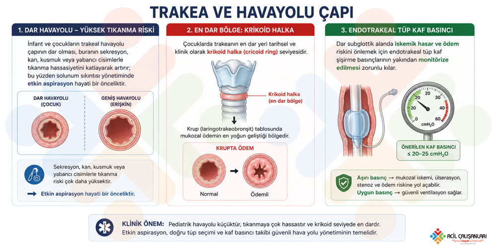 Pediatrik dar havayolu çapı