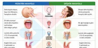Pediatrik Havayolunun Anatomik ve Fizyolojik Özellikleri