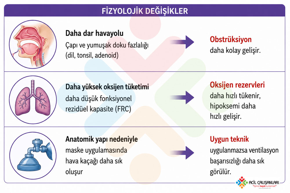 Pediatrik havayolu anatomisi