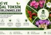 Bitki ve Doğal Toksin Zehirlenmeleri