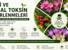 Bitki ve Doğal Toksin Zehirlenmeleri
