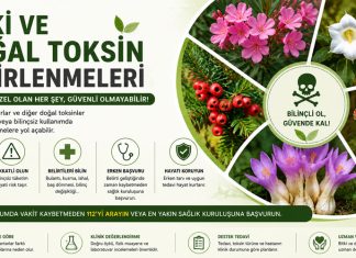 Bitki ve Doğal Toksin Zehirlenmeleri