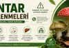 Mantar Zehirlenmeleri