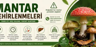 Mantar Zehirlenmeleri