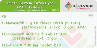 Ayaktan Parenteral Antibiyotik Reçetesi (APAT)